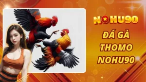 Đá gà Thomo Nohu90